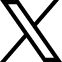 Aiwyn-X-Icon